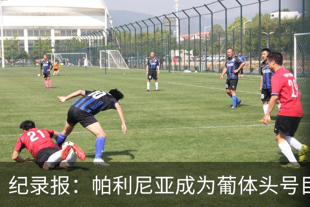纪录报：帕利尼亚成为葡体头号目标，希望在新赛季开始前敲定交易